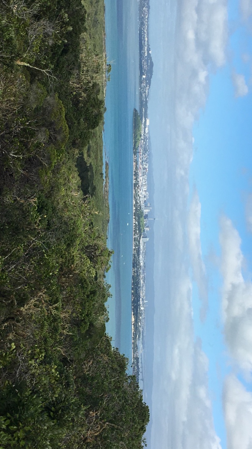 View of Auckland from the Rangitoto summit track