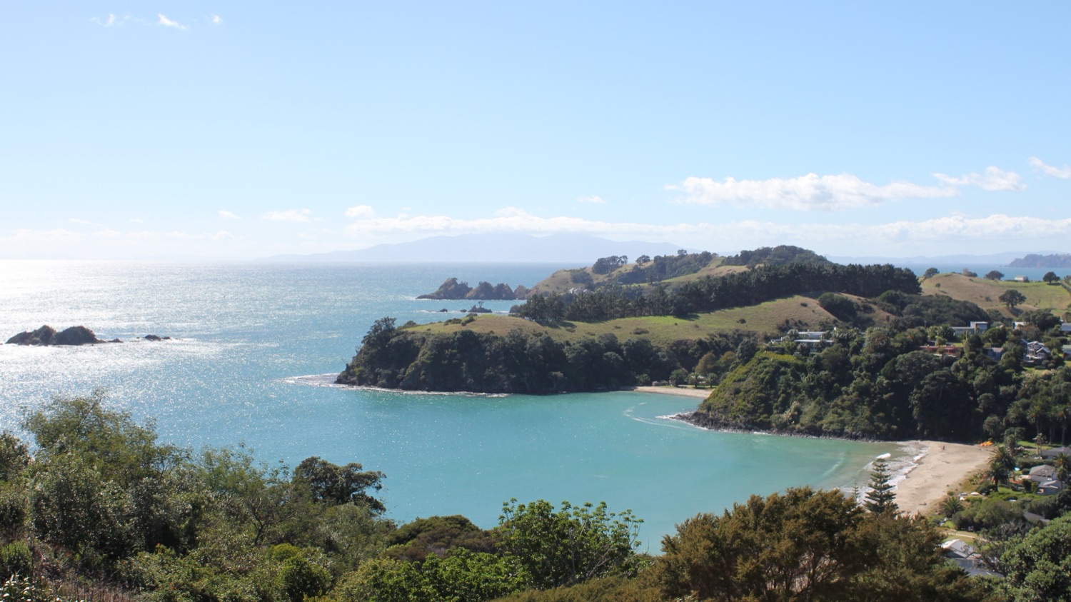 Beach and headland on Waiheke Island