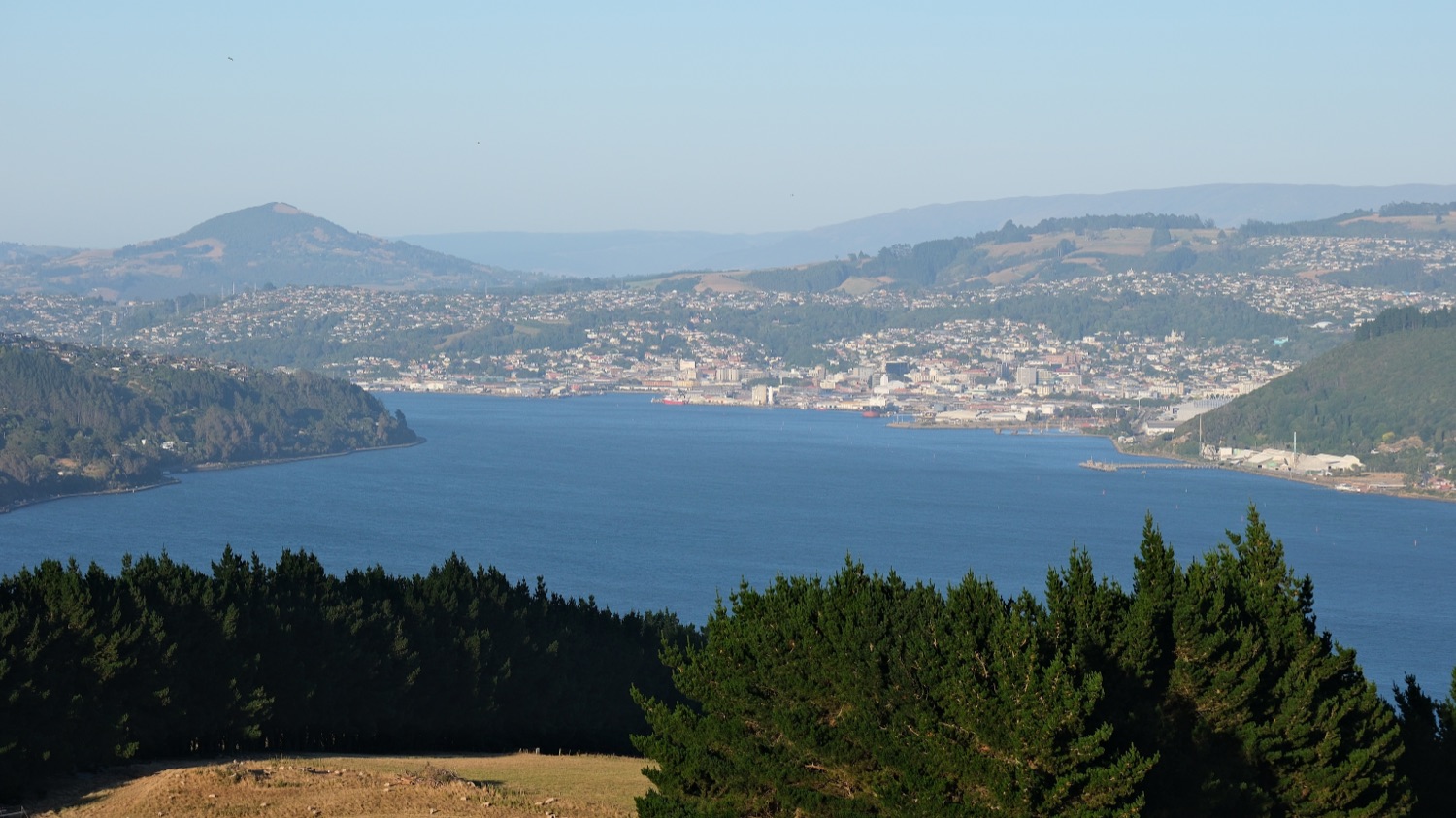 Dunedin and Otago Harbour seen from the Otago Peninsula