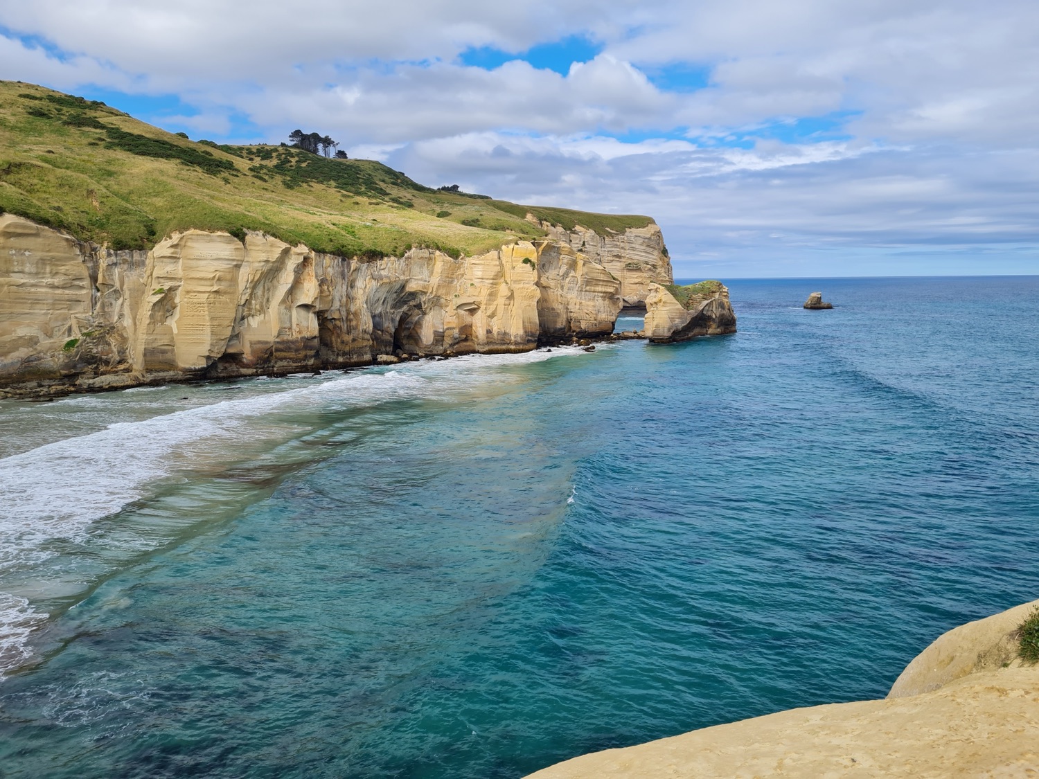Sandstone cliffs and sea arch at Tunnel Beach