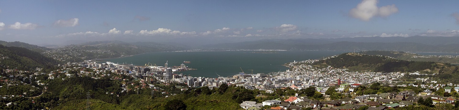 Wellington Harbour and city from the Town Belt hills above Polhill Reserve